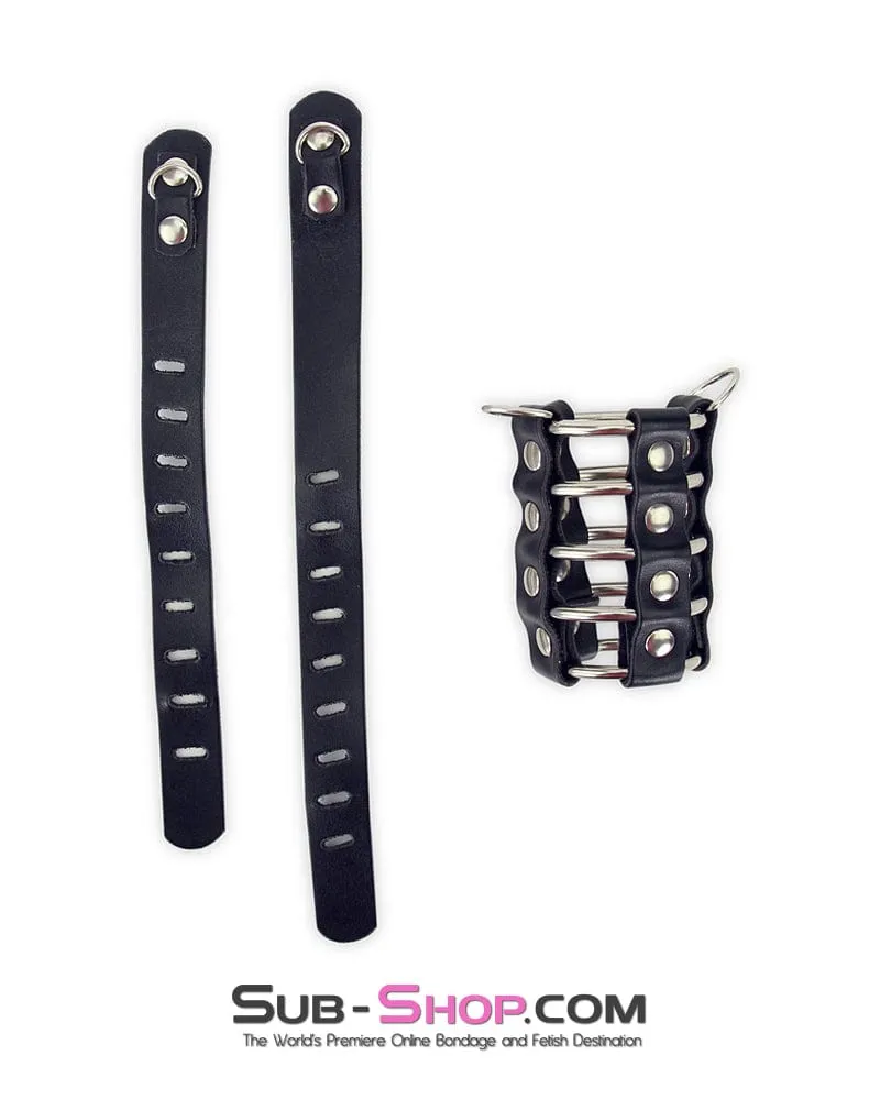 3788HS      Access Denied Locking Chastity Set