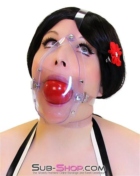 7170A      Clearly Stuffed 2” Large Ball Gag Trainer