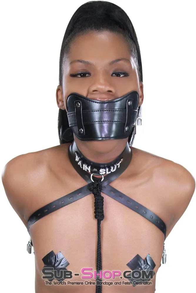 8954DL      Stuffed Slave Mouth Locking Panel Gag