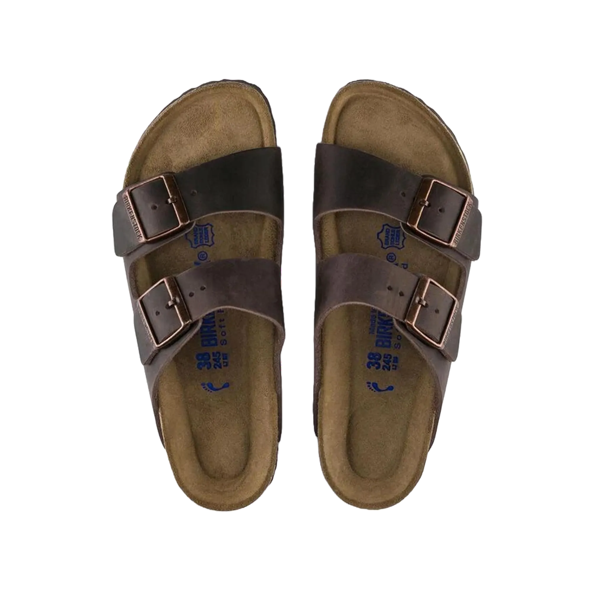 Arizona SFB LEOI