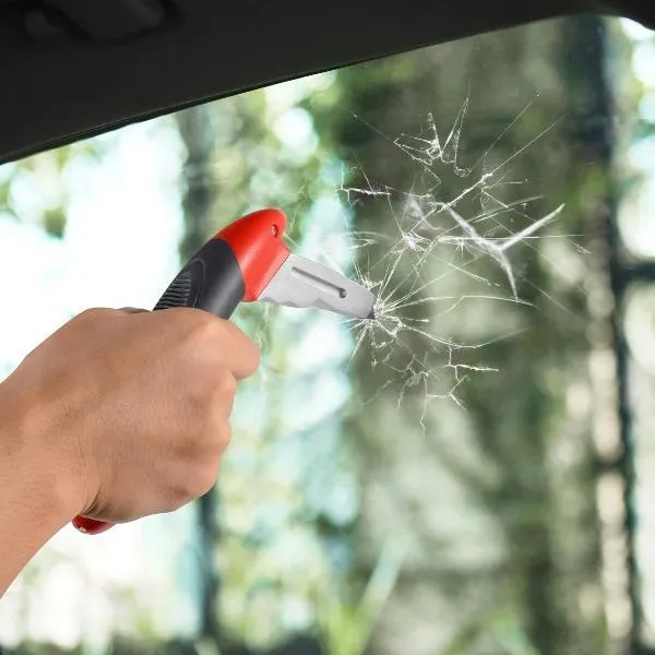 Car Automotive Standing Aid Cane