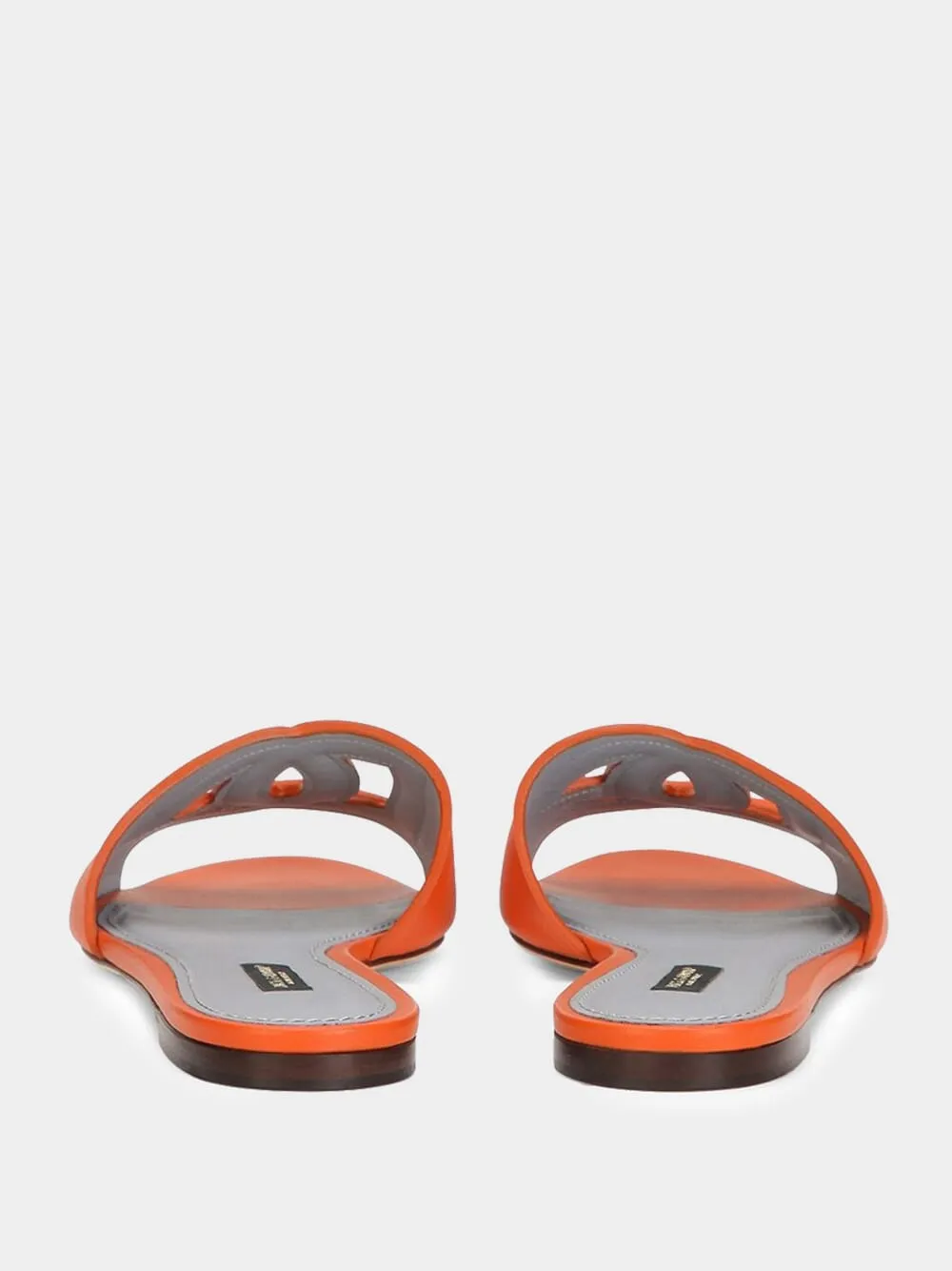 DG Milennials Slides