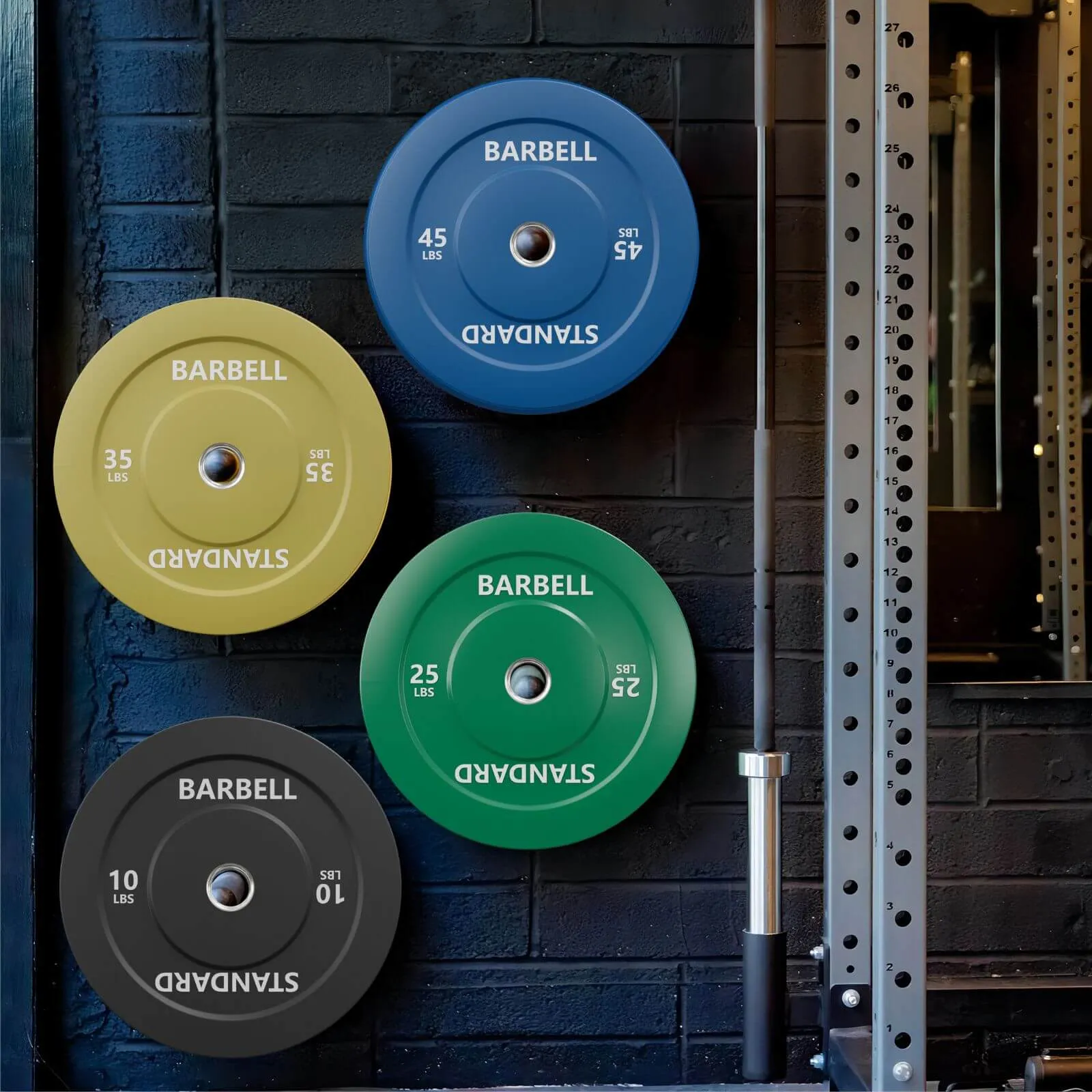 EZ Grip Bumper Plates 230LBS Colorful