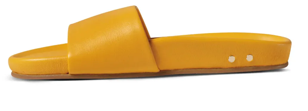 Gallito
