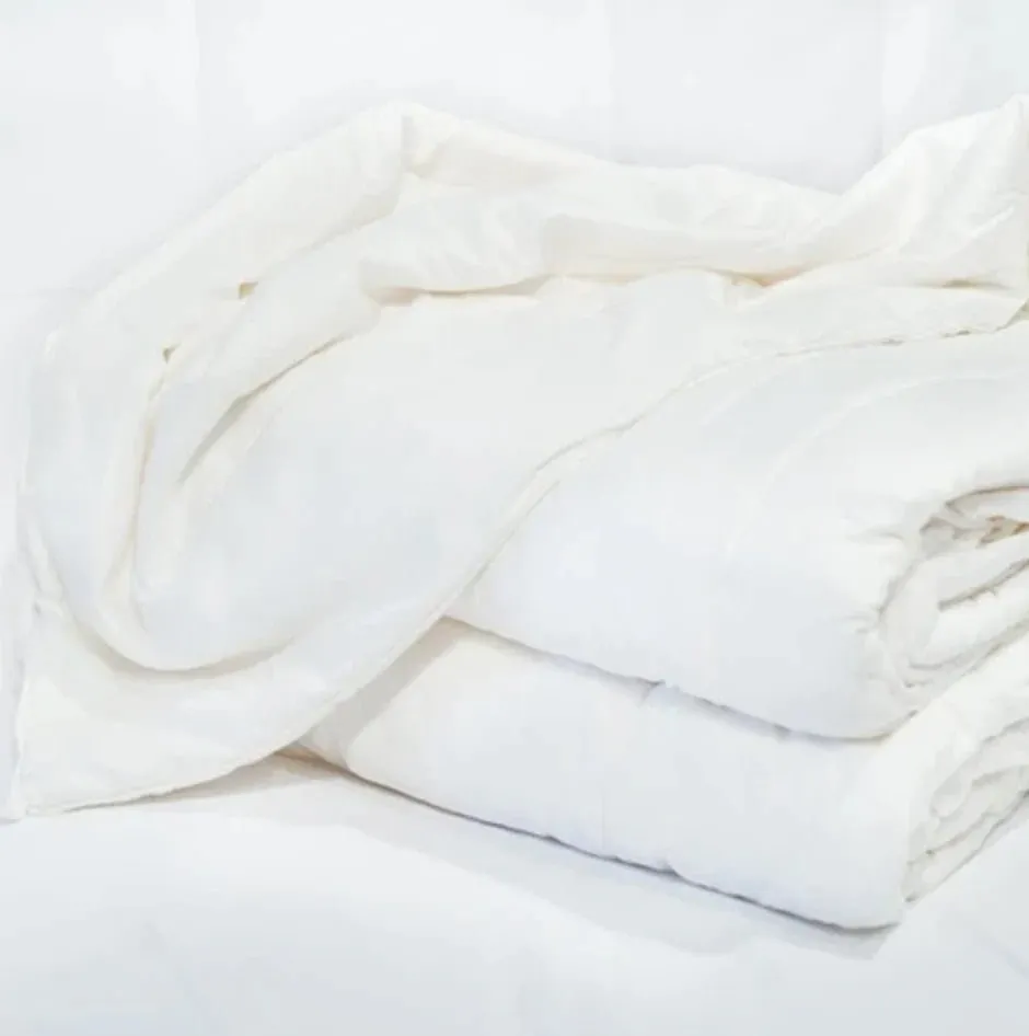 Mulberry Silk Queen Duvet Set
