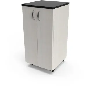 Organizer Portable Storage Cabinet / Salon Storage Cabinet by Collins