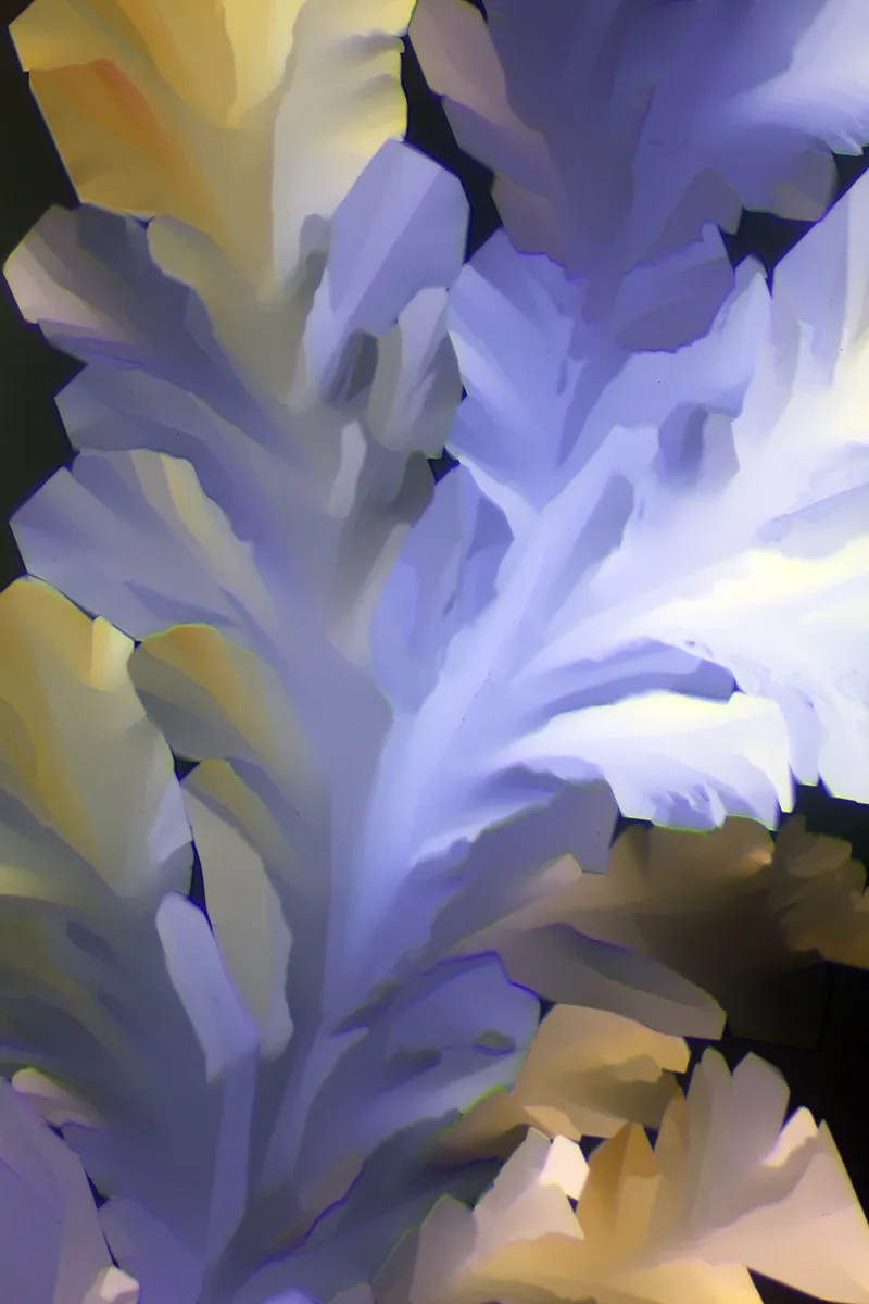 "DREAMCATCHER" -Photograph of crystalline THC found in cannabis