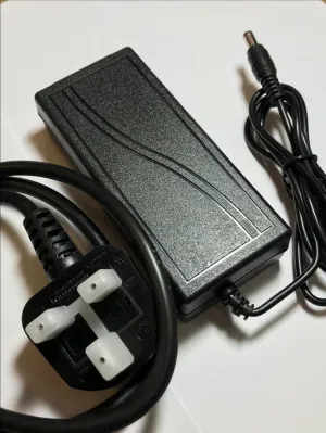 Saris Replacement Plug