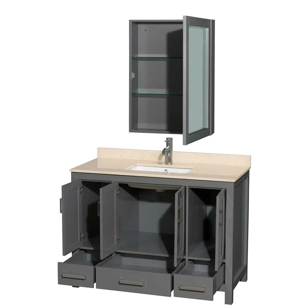 Sheffield 48 Inch Single Bathroom Vanity in Dark Gray