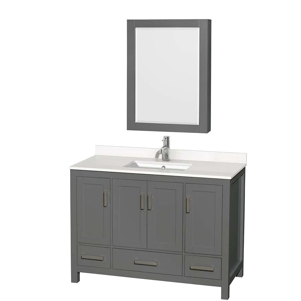 Sheffield 48 Inch Single Bathroom Vanity in Dark Gray
