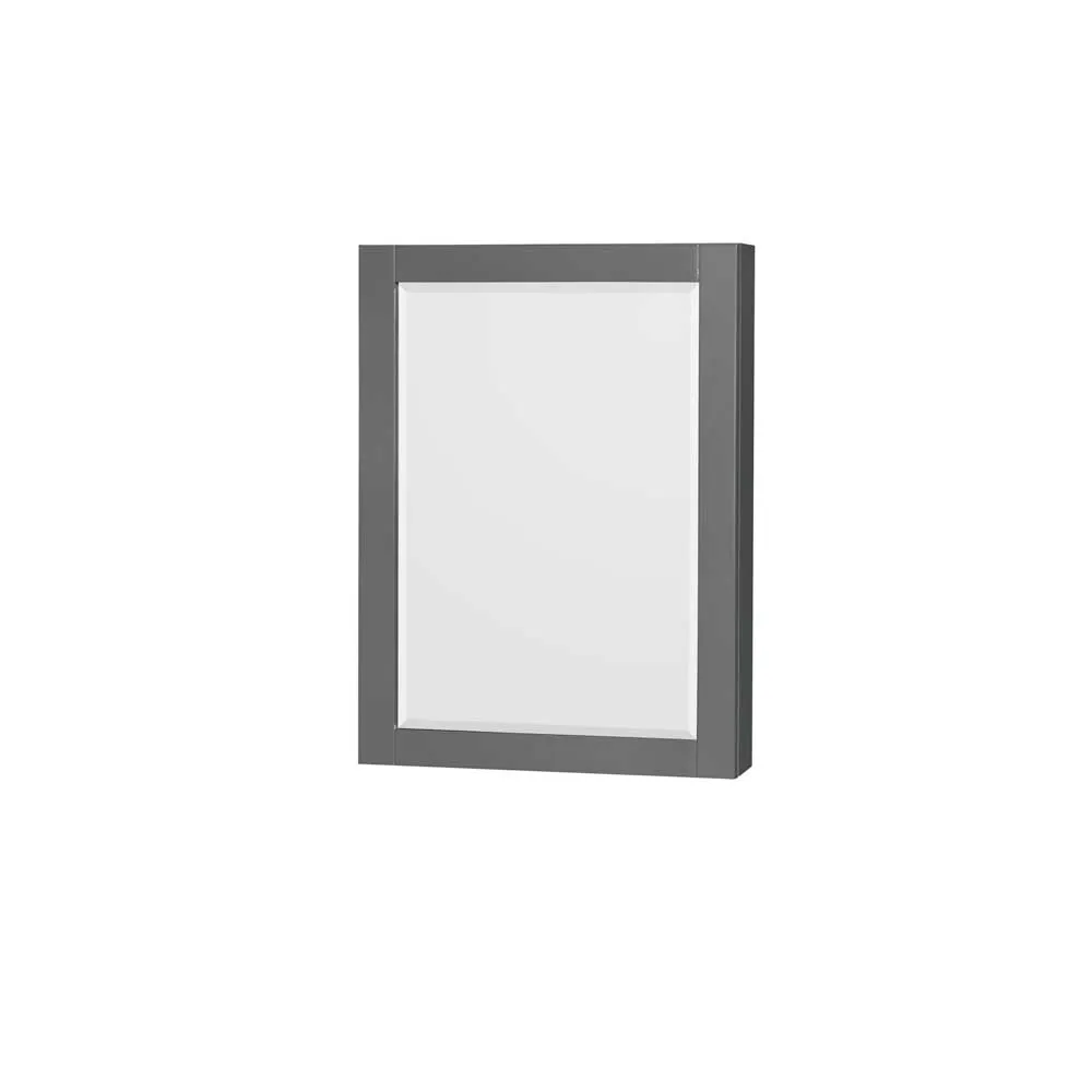 Sheffield 48 Inch Single Bathroom Vanity in Dark Gray