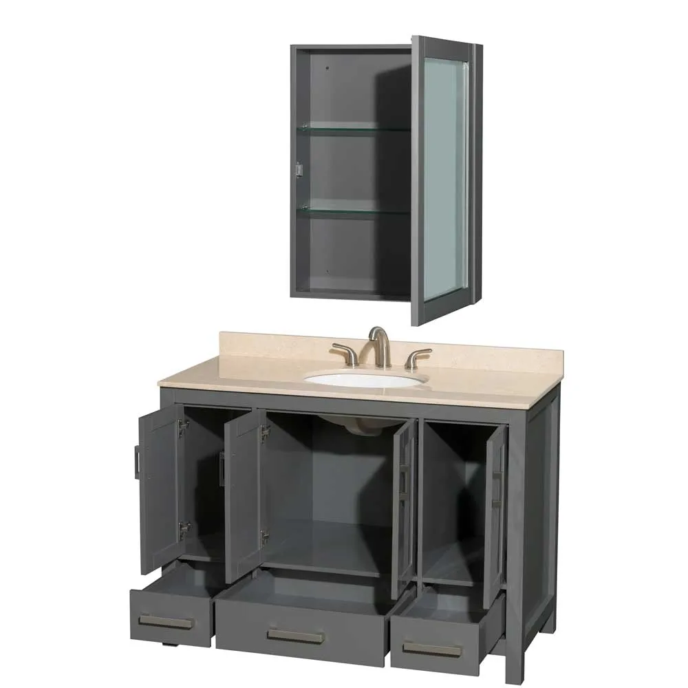 Sheffield 48 Inch Single Bathroom Vanity in Dark Gray