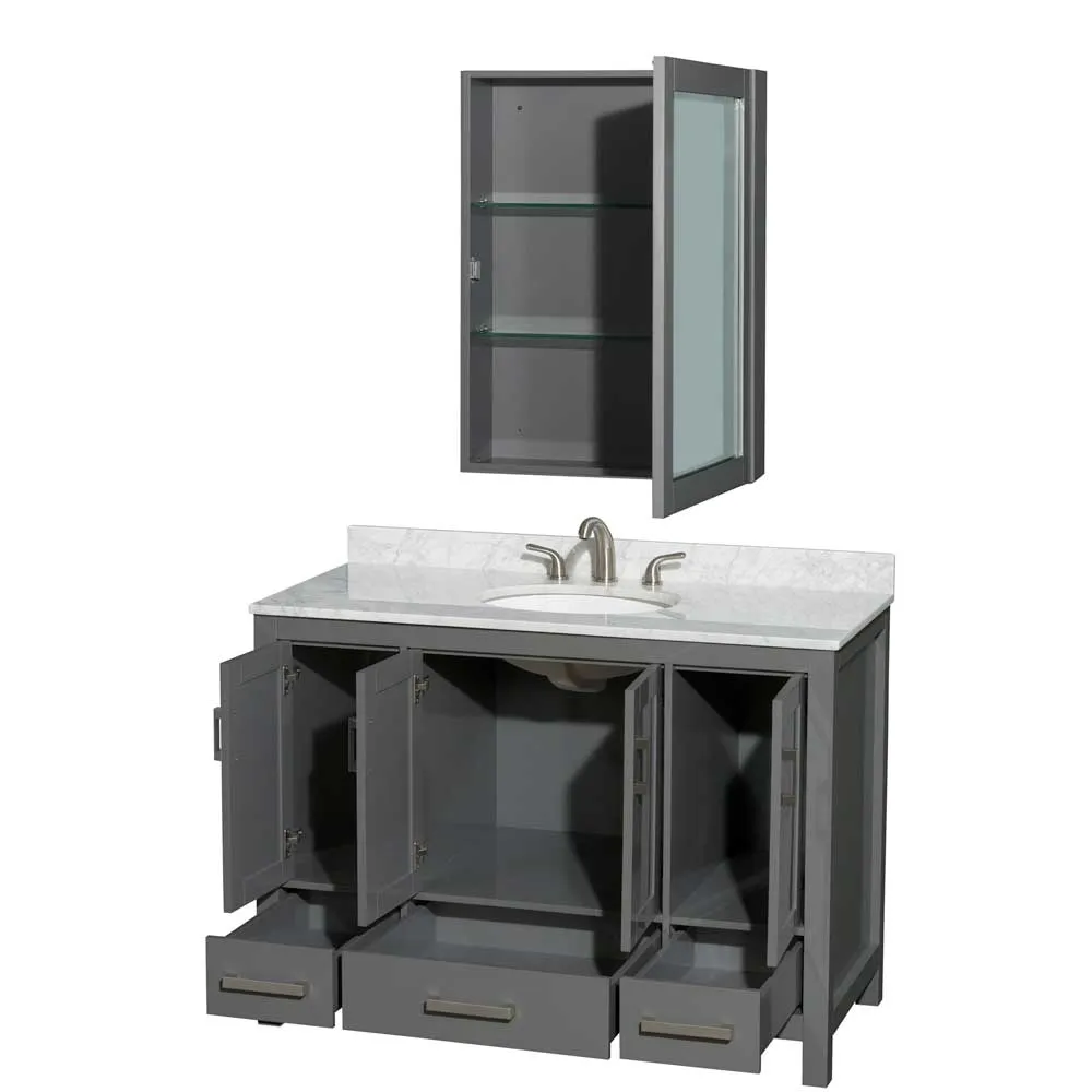 Sheffield 48 Inch Single Bathroom Vanity in Dark Gray
