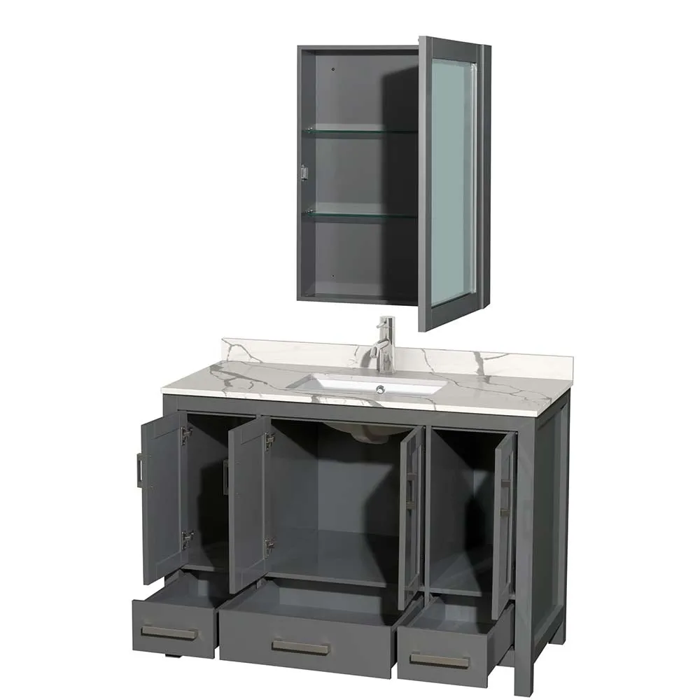 Sheffield 48 Inch Single Bathroom Vanity in Dark Gray
