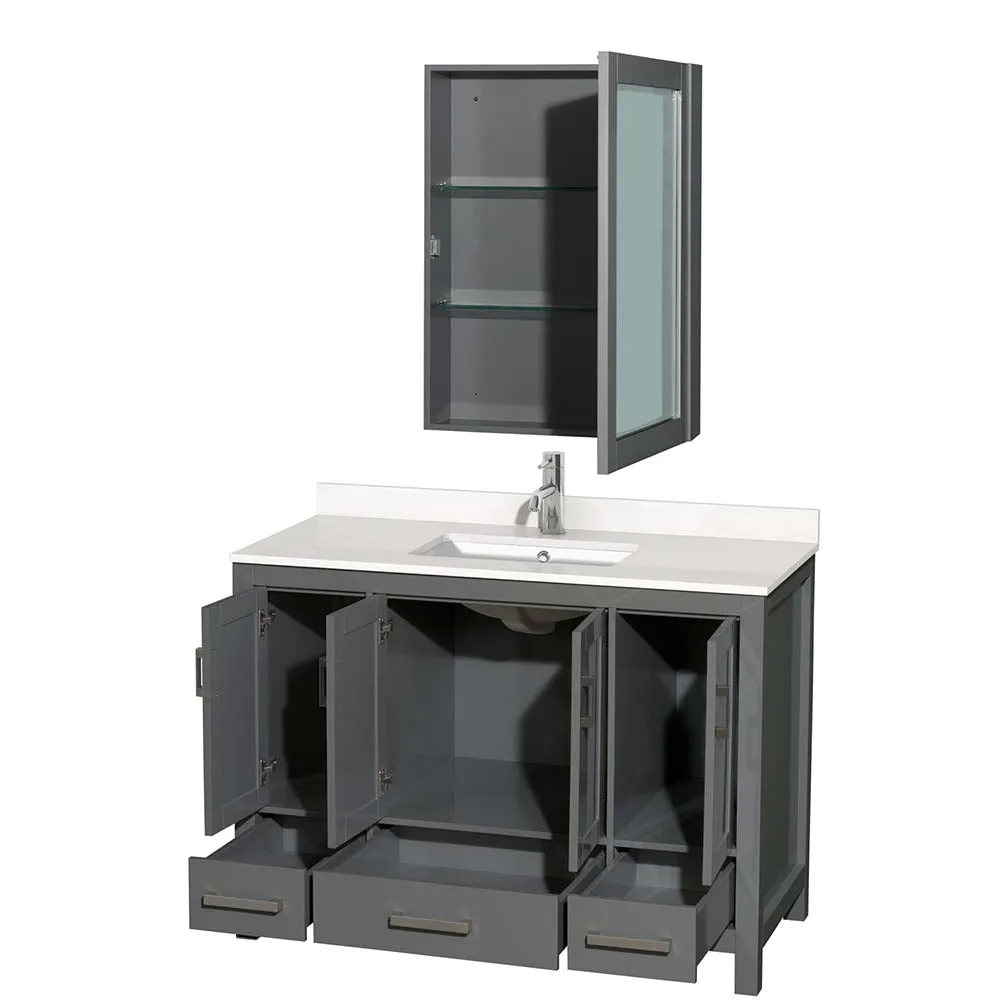 Sheffield 48 Inch Single Bathroom Vanity in Dark Gray