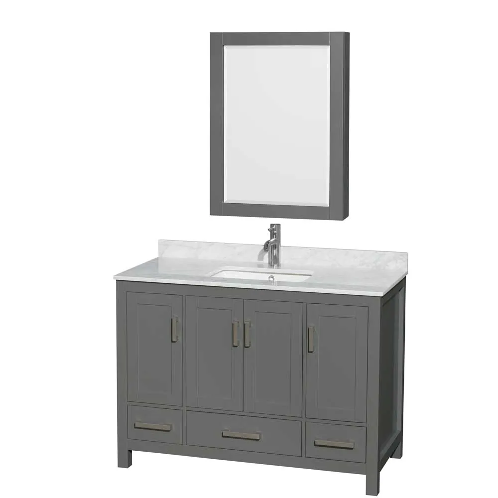 Sheffield 48 Inch Single Bathroom Vanity in Dark Gray