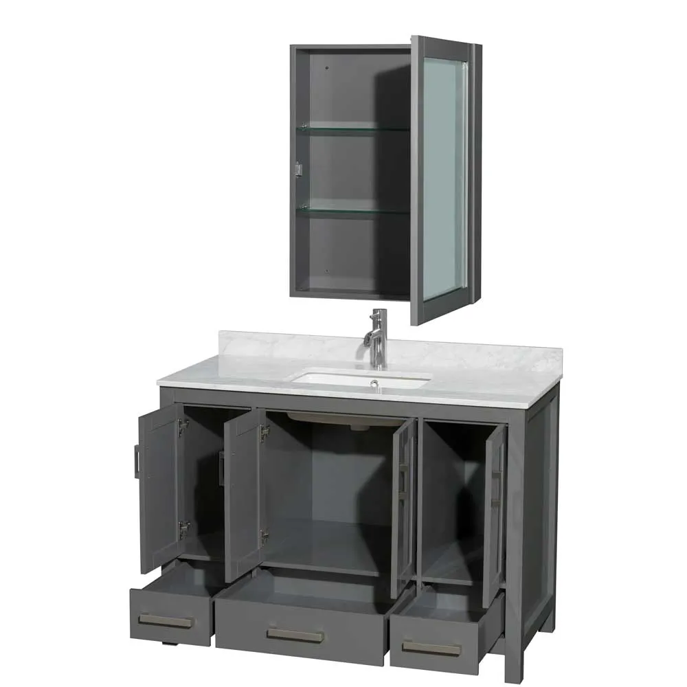 Sheffield 48 Inch Single Bathroom Vanity in Dark Gray