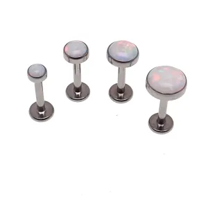 Sun & Ice Opal Titanium flat back