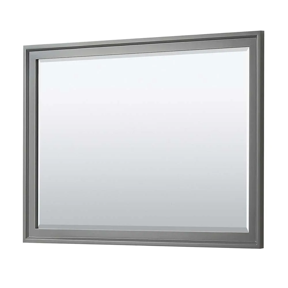 Tamara 48 Inch Single Bathroom Vanity in Dark Gray