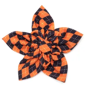 The Worthy Dog Flower Halloween Argyle