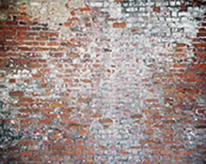 Waylon Brick Floor