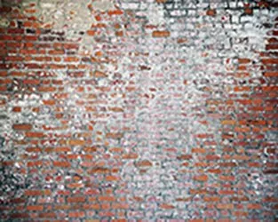 Waylon Brick Floor
